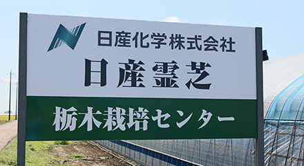 Nissan Reishi/About Nissan Reishi